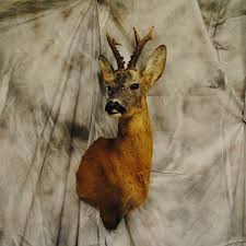 Gouache and pastel on cardboard, 44.5 x 55.5 cm. Preparace Janousek Home Facebook