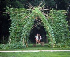 Check out our range of metal garden stakes products at your local bunnings warehouse. 7 Plant Tunnel Ideas Plants Tunnel Trellis