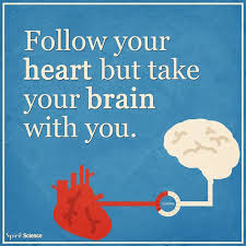 Follow Your Heart But Take Your Brain With You