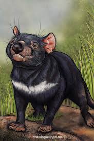 Pin On Drawing With Pri Art