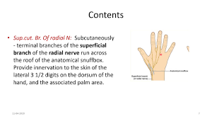 The name originates from the use of this surface for placing and then sniffing powdered tobacco, or snuff. it is sometimes referred to by its french name tabatière. Anatomical Snuff Box Youtube