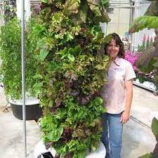 Tower Garden From Juice Tower Garden Vertical Vegetable Gardens Spring Vegetable Garden