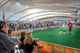 The 2019 pet expo included a cfa sanctioned cat show, national grooming competition, rabbit hopping, diving dogs, chicken races. Pittsburgh Pet Expo Highlights Competitions Adoptions Stage Shows Triblive Com