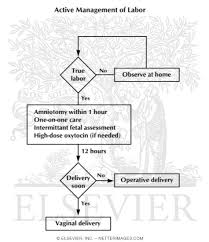 Image result for Active Management of Labor