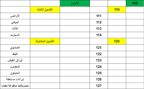 Excelawy شجرة الحسابات دليل الحسابات Excel