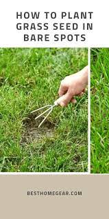 How To Plant Grass Seed In Bare Spots Planting Grass Planting Grass Seed Growing Grass