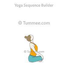 Comment of the day is potatos!!! Seated Cat Cow Pose Yoga Upavistha Bitilasana Marjaryasana Yoga Sequences Benefits Variations And Sanskrit Pronunciation Tummee Com
