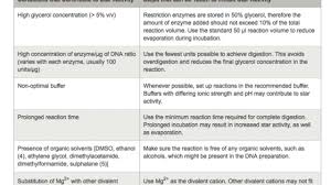 High Fidelity Hf Restriction Endonucleases Neb