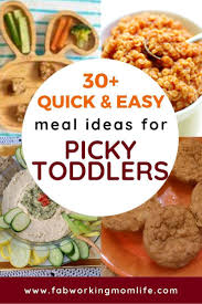 Toddler Meals For Picky Eaters 30 Quick And Easy Toddler Recipes Fab Working Mom Life Healthy Toddler Meals Easy Toddler Meals Meal Plan For Toddlers