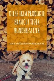 Wohnst Du Noch Oder Lebst Du Schon Toffee Der Frechdachs Hund Ecke Hundeecke Hunde Erziehen