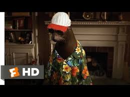 Andre was a harbor seal, and was portrayed in the movie by a sea lion. Andre Trailers And Videos