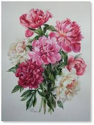  240 Ilustrasi Floral Ideas Taman Herba Kerusi Rehat Basikal