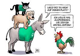 We did not find results for: Werder Bremen Kurz Vor Dem Abstieg Freitags Witzefreitags Witze