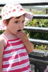 Wildebraam Berry Season