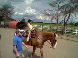 280 emmaus rd, marysville, oh 43040. Horseback Riding In Marysville Ohio Union County