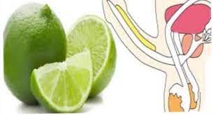 Comment faire l'amour plus longtemps ? Video Comment Etre Un Dieu Au Lit Avec Seulement Le Citron