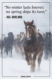 Starting to consume itself with snowfall where no snow is falling now. 30 Best Winter Quotes Cute Sayings About Snow The Winter Season