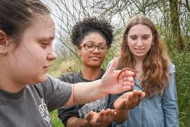 Environmental Studies