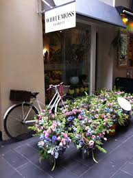 Pin By Sweet Creations Baby Childre On Sageberry Designs Floral Shop Flower Shop Florist Shop