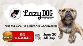C.A.R.E. Fundraiser & Friends—Lazy Dog Vernon Hills