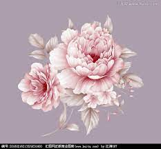 手绘牡丹牡丹牡丹花 rose painting flowers rose