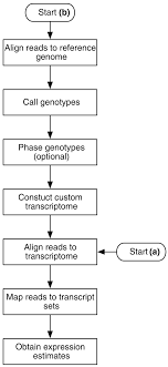 Pipeline Flow Chart Flow Chart Depicting The Steps In The