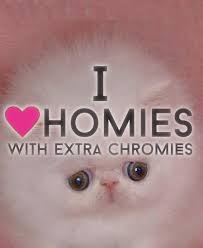 Learn vocabulary, terms and more with flashcards, games and other study tools. Animals With Down Syndrome Facebook