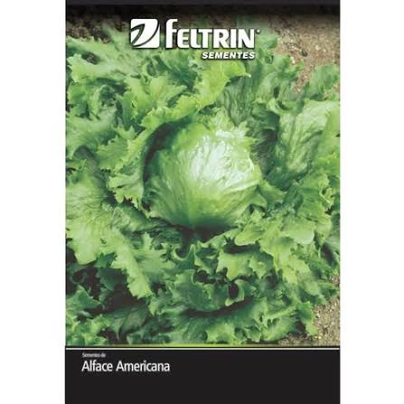SEMENTES DE HORTALICAS FELTRIN - ALFACE AMERICANA