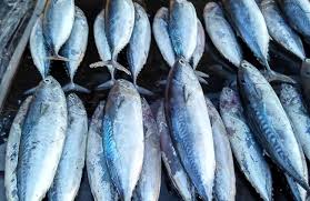 Boleh pake boleh tidak•cabe hijau belah 2•daun salam•sereh geprek•lengkuas geprek•santan secukupnya sesuai selera•belimbing wuluh, belah 2 (boleh skip). Ini Adalah Resepi Nasi Dagang Terengganu Asli Gulai Ikan Tongkol Salaam