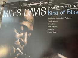 Image result for Blu Davis 1988 Fleet