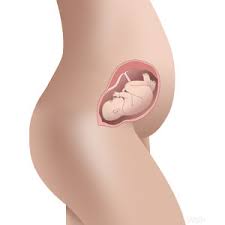 As your bump becomes more prominent, you might find that more and more people are able to tell that you're pregnant, making this new stage in your life seem all the more real for you. How Many Months Pregnant Is 22 Weeks During Pregnancy