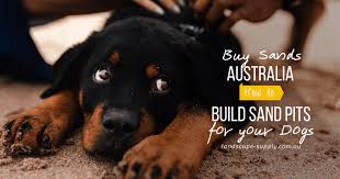 We did not find results for: How To Build Sand Pits For Your Dogs Buy Sands Australia