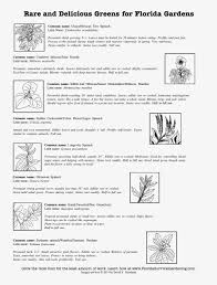 Other perennial veggies provide fertilizer to themselves and their neighboring plants by fixing nitrogen in the soil. A Florida Perennial Vegetables List The Survival Gardener