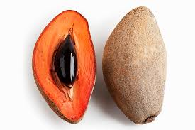 Image result for Pouteria