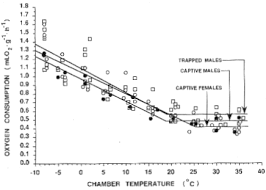 The Project Gutenberg Ebook Of Metabolic Adaptation To