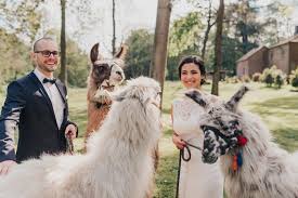 Последние твиты от events@rittergut orr (@hausorr). Wunderschone Hochzeit Rittergut Orr In Koln Hochzeitsfotograf Koln