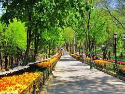 emirgan korusu sariyer istanbul istanbul travel istanbul beautiful places