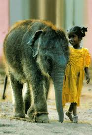 Indian Child With Elephant Animals Beautiful Baby Animals Animals