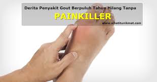 Gout adalah disebabkan kegagalan fungsi buah pinggang menyingkirkan asid urik dan pengambilan makan yang banyak menghasilkan asid urik. Punca Penyebab Gout Yang Diabaikan Daily Rakyat