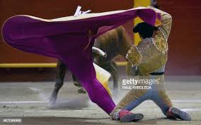1.796 fotos e imágenes de Capote Torero - Getty Images