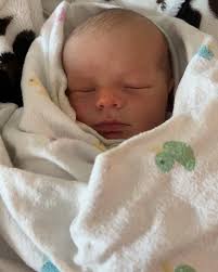 Haley Richter (@haleydrichter) • Instagram photos and videos