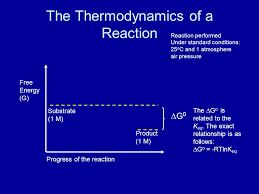 The gibbs free energy of the system is a state function because it is defined in terms of thermodynamic properties that are state functions. Enzymes Increase The Rates Of Reactions Are Highly Specific For Their Preferred Substrate Can Be Regulated Can Be Localized In Certain Organelles Can Ppt Download
