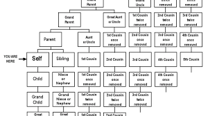 what is a second cousin once removed let us explain