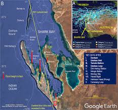 The utility of historical records for hazard analysis in an area of  marginal cyclone influence | Communications Earth & Environment
