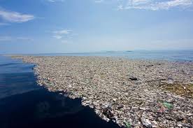 Resultado de imagen de foto libre basura plástico