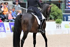 De twee amazones vertrokken dinsdag richting tokio, zij het met een eerste stop in het duitse aachen waar ze in. Manon Claeys Grijpt Zilver In Para Dressuur Rotterdam Equnews Belgium
