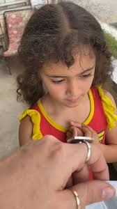 Black swallowtail emerges from chrysalis