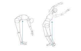 Sitting / leaning against a wall. The Physics Of Touching Your Toes Scienceblogs