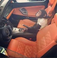 The series premiered on april 23. El Chapo S Sons Spark Instagram Battles Between Mexican Cartel Members Showing Off Their Wealth Daily Mail Online