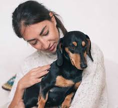 Check spelling or type a new query. Canada Laws And Guidance For Emotional Support Animals